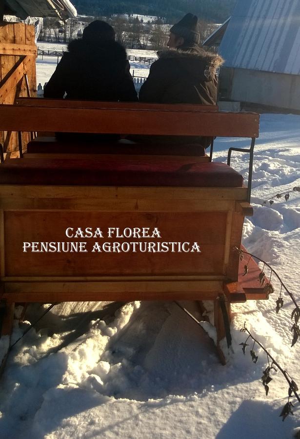 Casa Florea Poiana Stampei Exterior foto